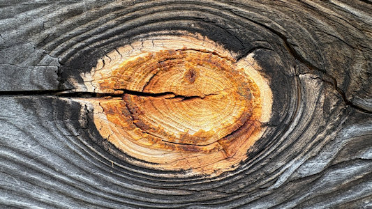 State Park Image